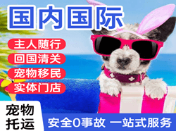 正定机场空运国际宠物托运 【国